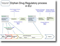 Orphan Drug Regulatory process in EU