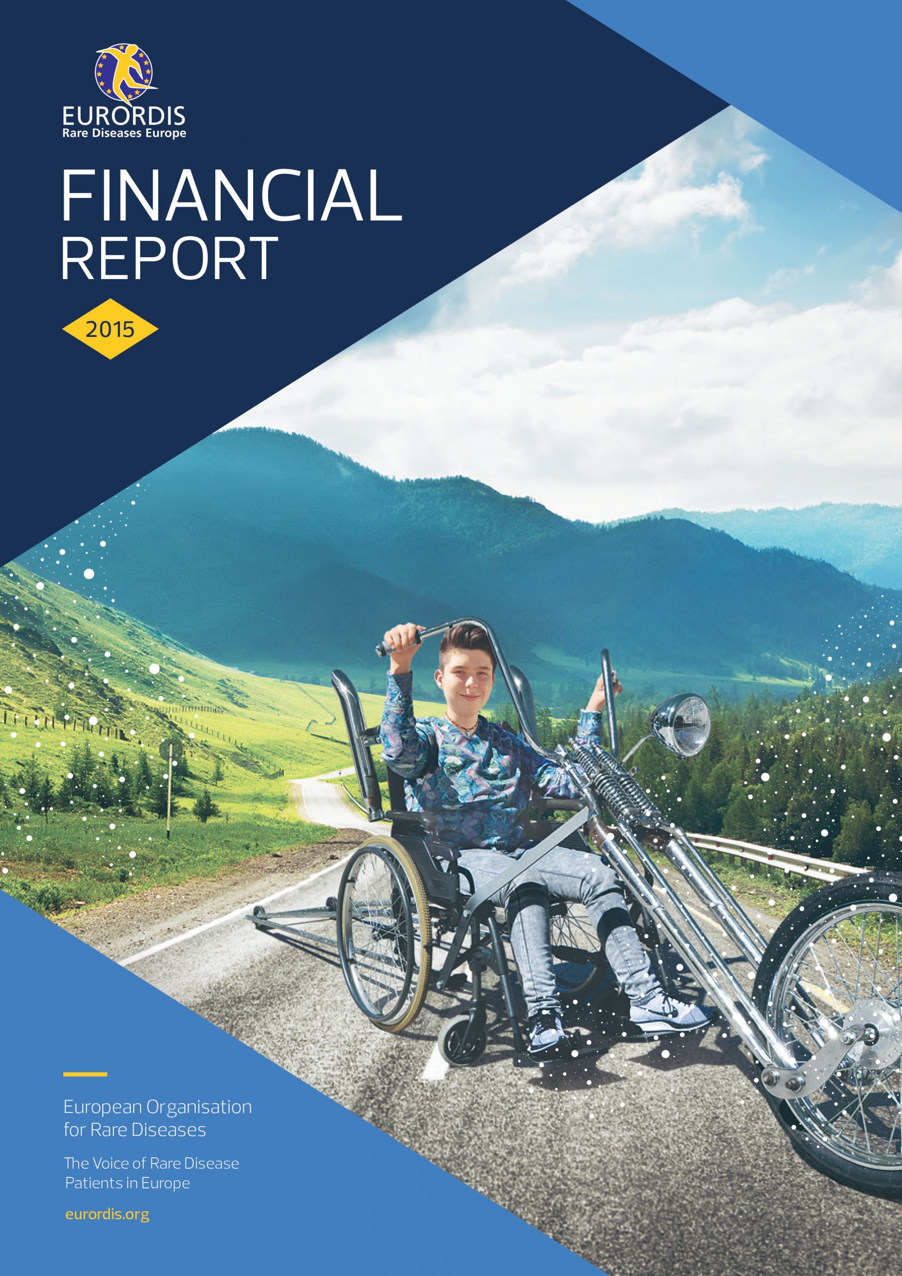 EURORDIS Financial Report 2015