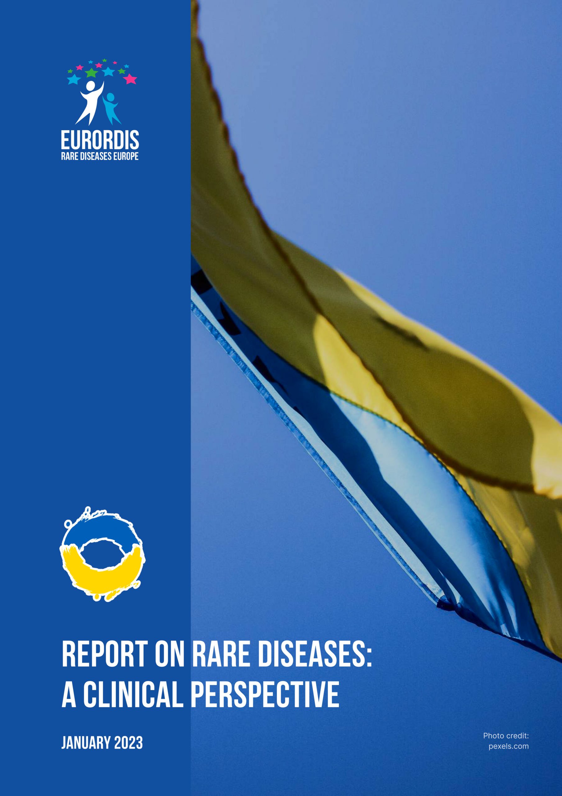 Report on rare diseases: a clinical perspective