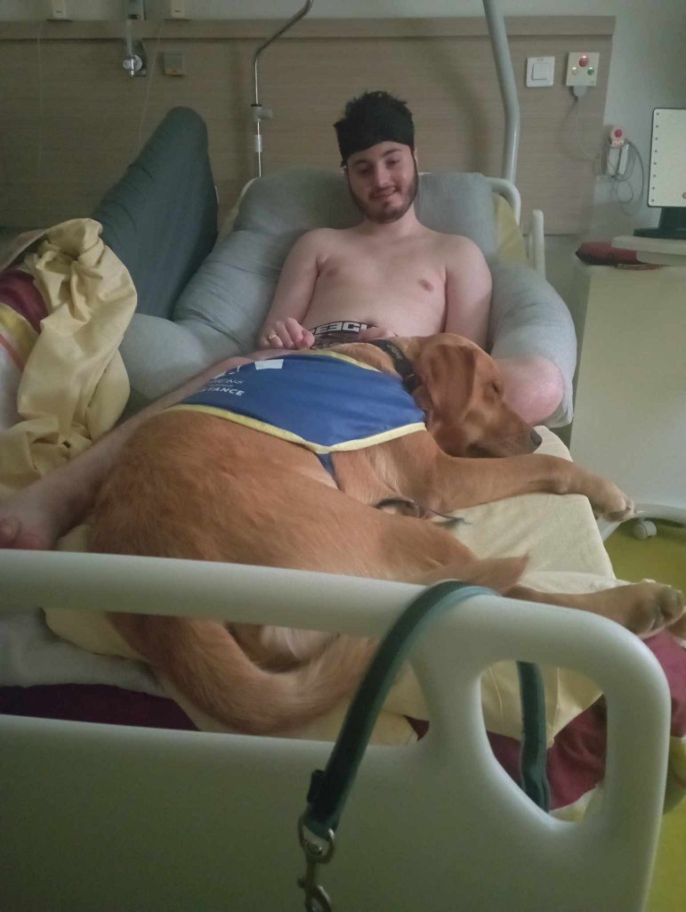 Robin lies in a hospital bed with a large ginger dog in his lap.