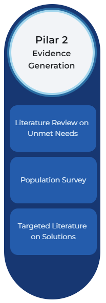 Pilar 2: Evidence Generation - Literature Review on Unmet Needs - Population Survey - Targeted Literature on Solutions