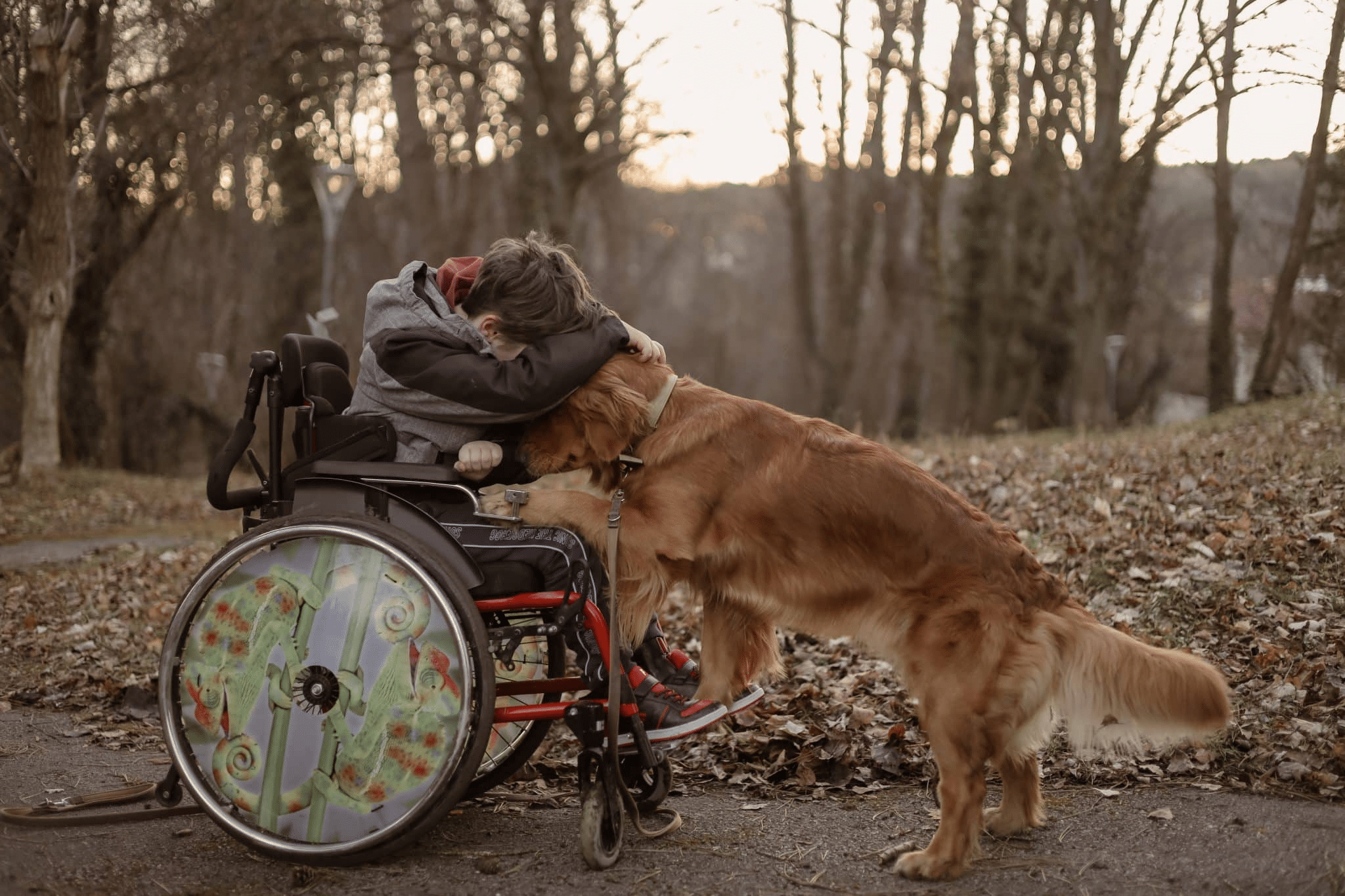 Sitting from his wheelchair, Valentin hugs his family's dog while on a walk in the forest.