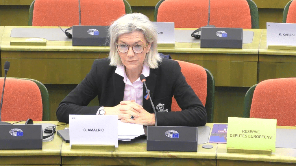 MEP CAtherine Amalric speaks at the European Parliament event in Strasbourg.