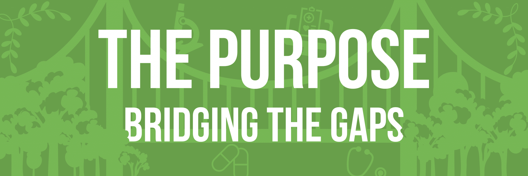 THE PURPOSE: BRIDGING THE GAPS