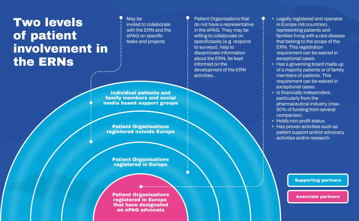 Governance graphic