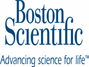 BSF Logo